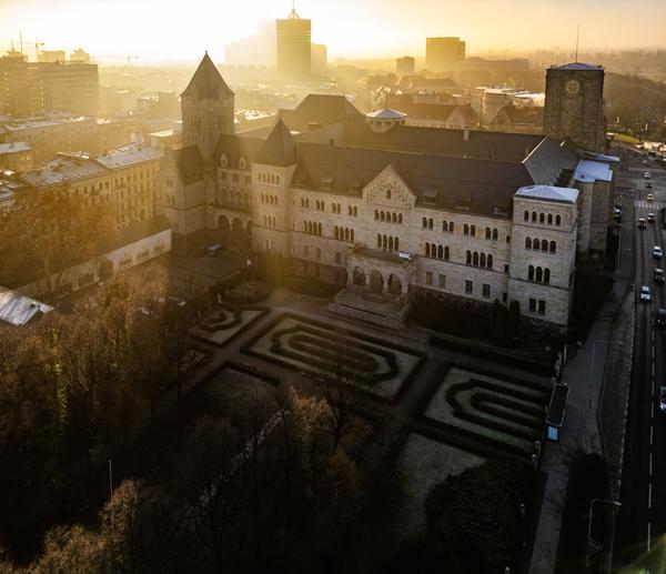 zamek w porannej mgle